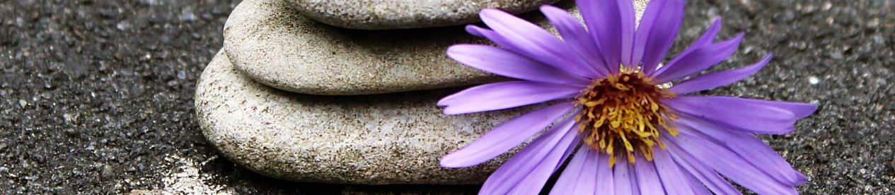 Kieselsteinturm mit lila Echinacea-Blüte